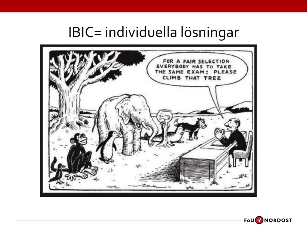 IBIC= individuella lösningar