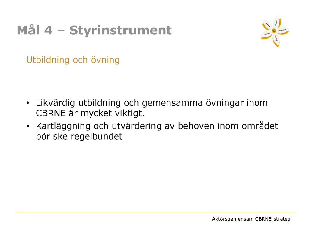 Aktörsgemensam CBRNE-strategi Information Och Stöd Till Implementering ...