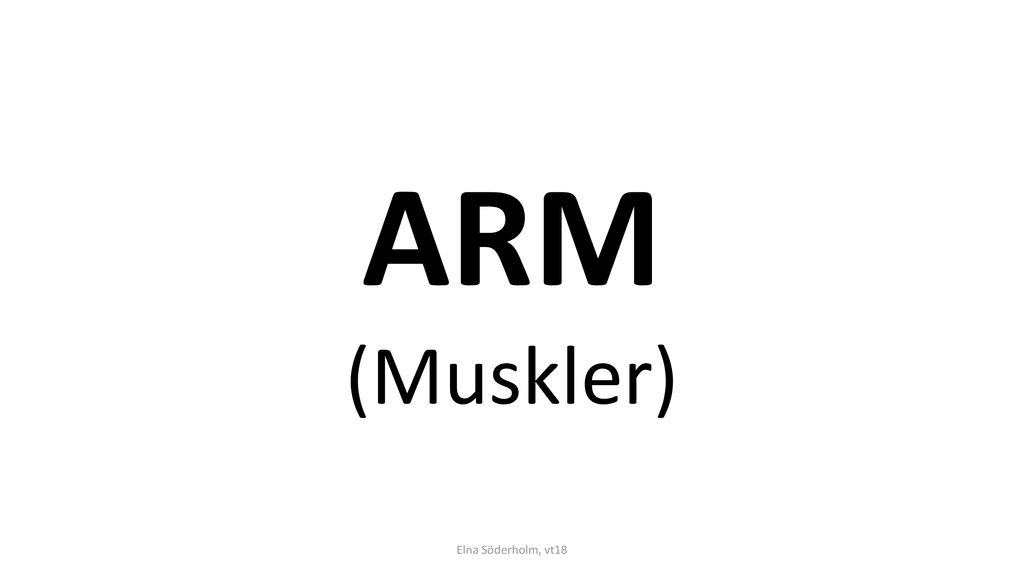 ARM (Muskler) Elna Söderholm, vt18