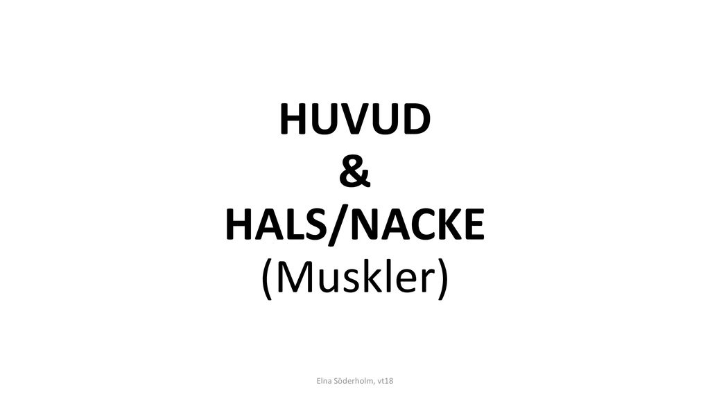 HUVUD & HALS/NACKE (Muskler)