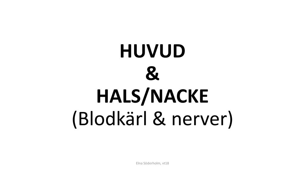 HUVUD & HALS/NACKE (Blodkärl & nerver)