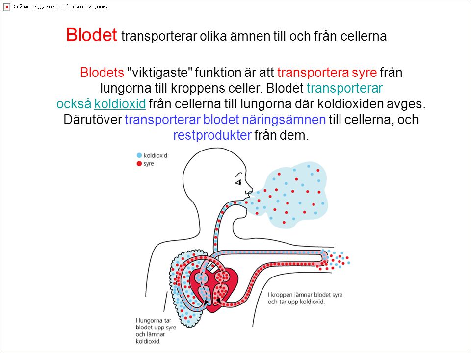 Blodet transporterar olika ämnen till och från cellerna