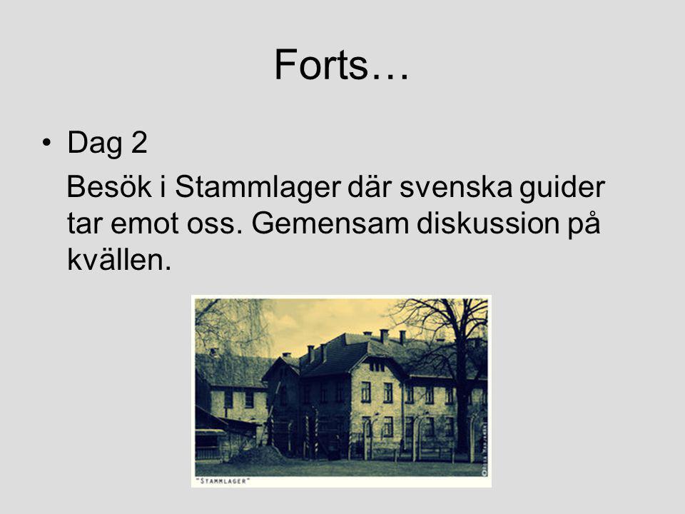Forts… Dag 2 Besök i Stammlager där svenska guider tar emot oss. Gemensam diskussion på kvällen.