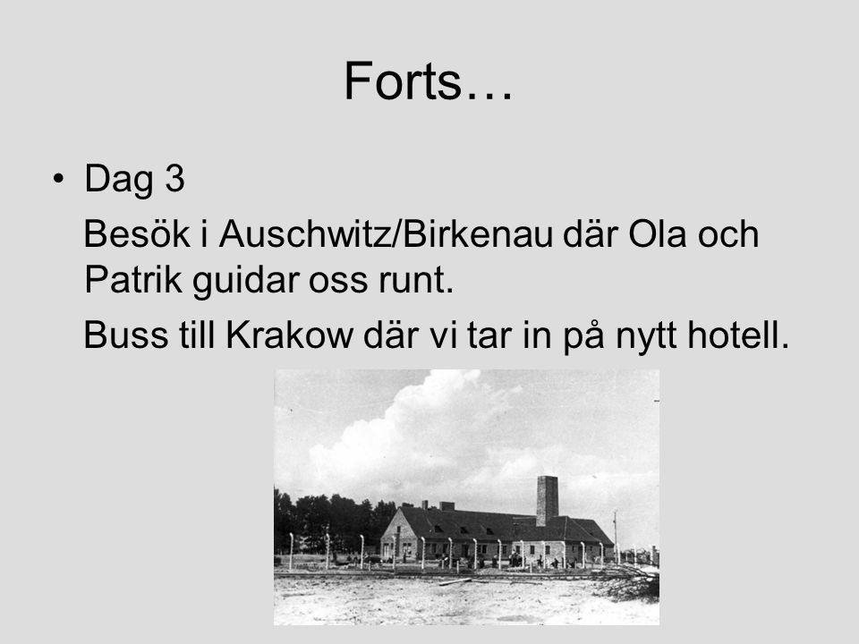 Forts… Dag 3. Besök i Auschwitz/Birkenau där Ola och Patrik guidar oss runt.