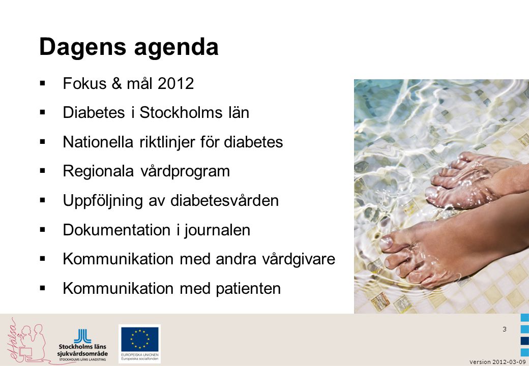 Dagens agenda Fokus & mål 2012 Diabetes i Stockholms län
