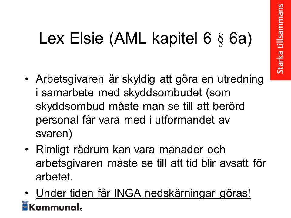 Lex Elsie (AML kapitel 6 § 6a)