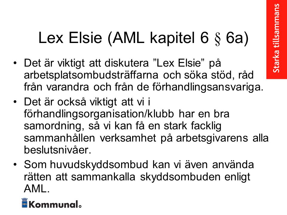 Lex Elsie (AML kapitel 6 § 6a)