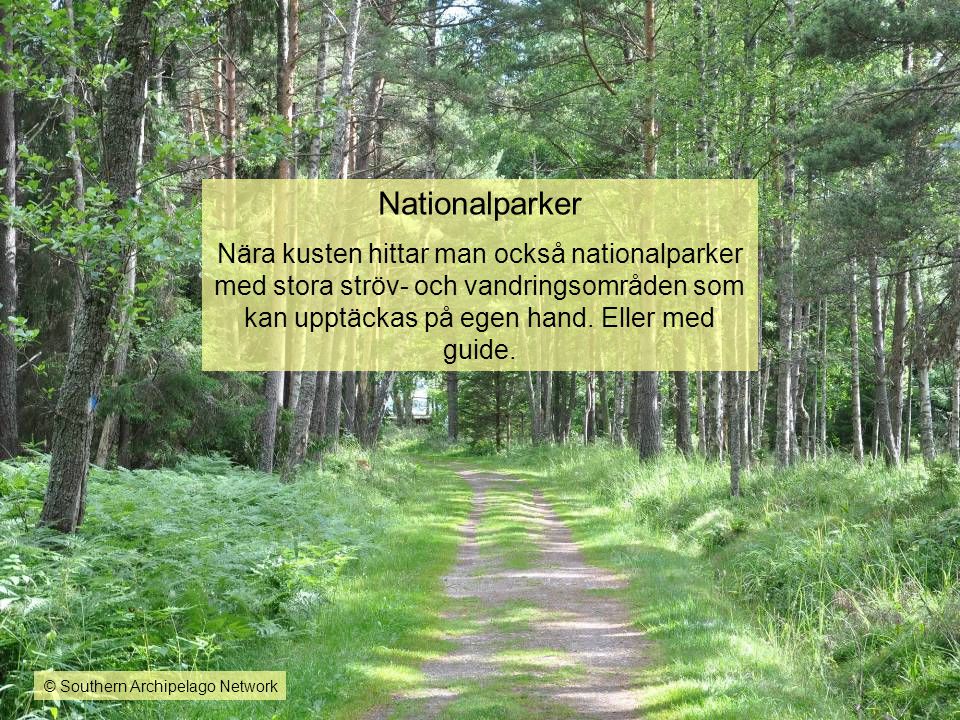 Nationalparker Nära kusten hittar man också nationalparker med stora ströv- och vandringsområden som kan upptäckas på egen hand. Eller med guide.