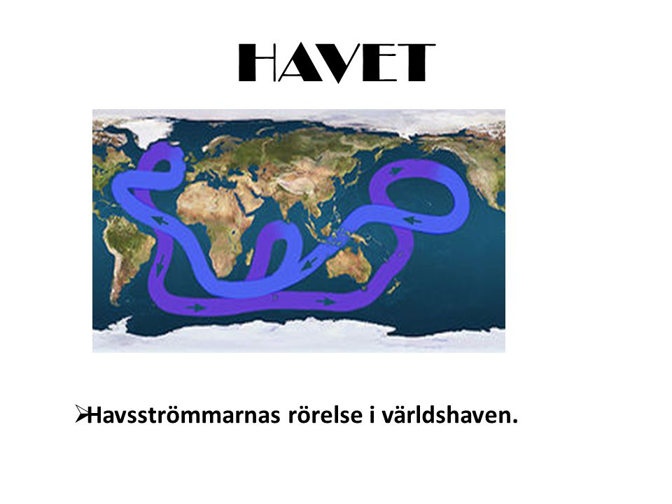 HAVET Havsströmmarnas rörelse i världshaven.