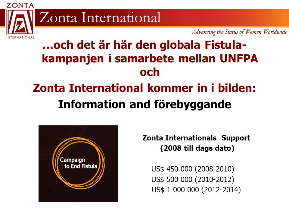 Zonta International kommer in i bilden: Information and förebyggande