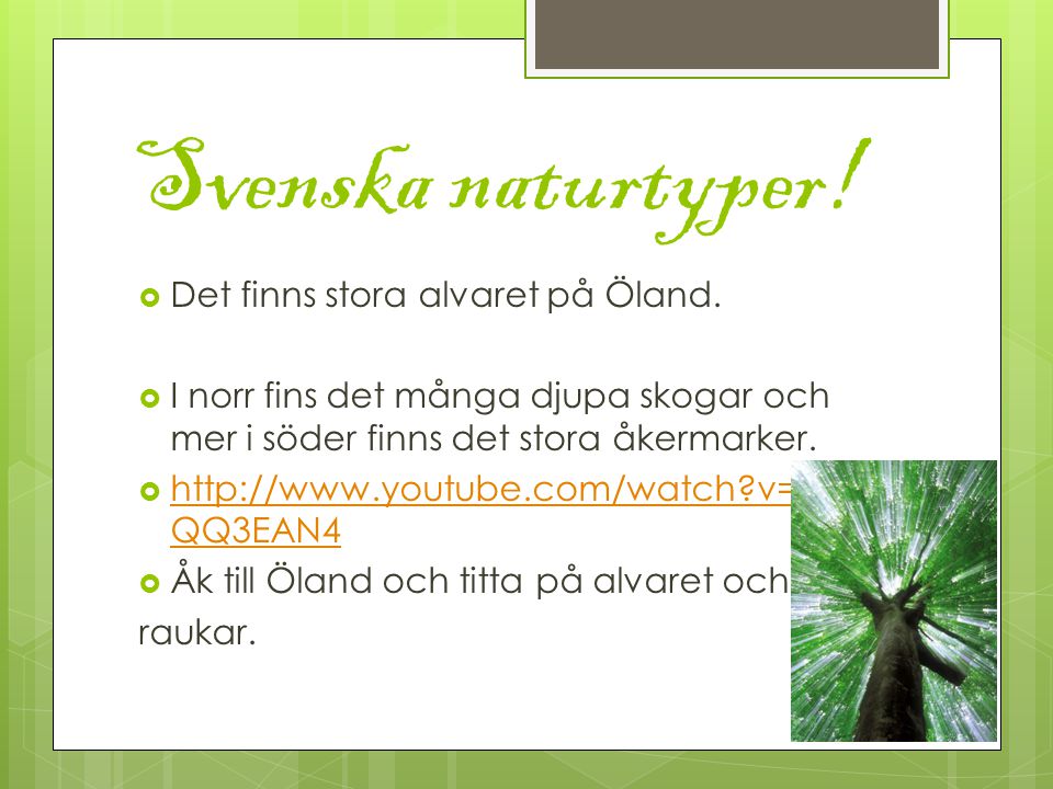 Svenska naturtyper! Det finns stora alvaret på Öland.
