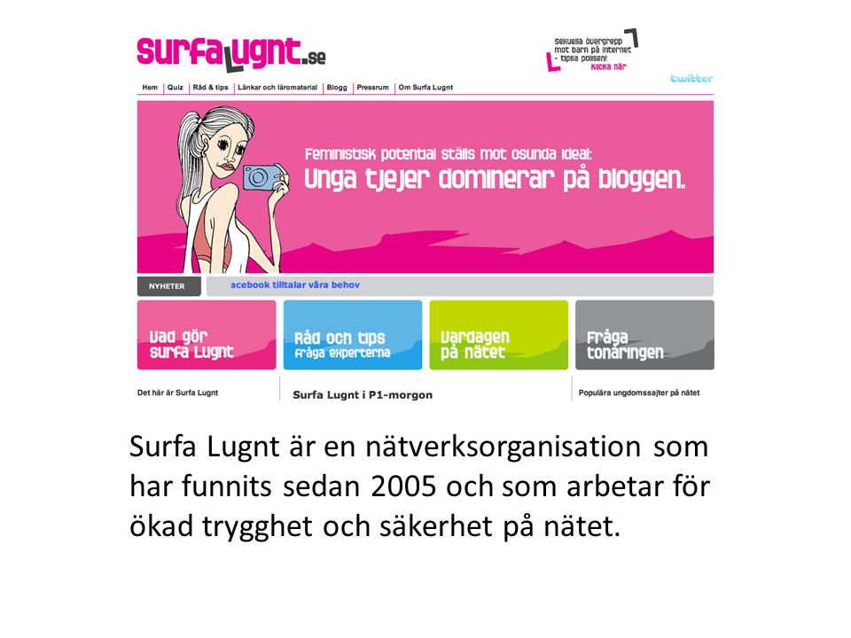 Surfa Lugnt är en nätverksorganisation som har funnits sedan 2005 och som arbetar för ökad trygghet och säkerhet på nätet.