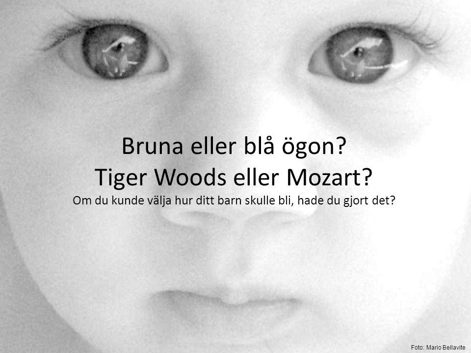 Bruna eller blå ögon. Tiger Woods eller Mozart