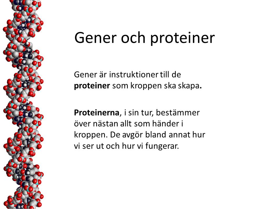 Gener och proteiner Gener är instruktioner till de proteiner som kroppen ska skapa.