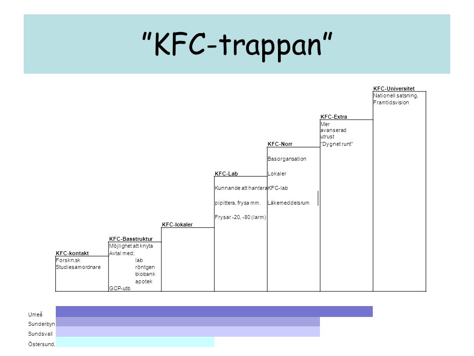 KFC-trappan KFC-Universitet Nationell satsning, Framtidsvision