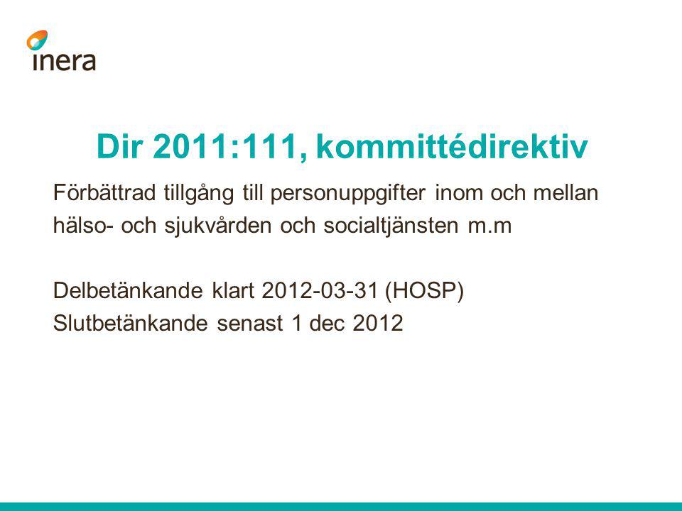 Dir 2011:111, kommittédirektiv