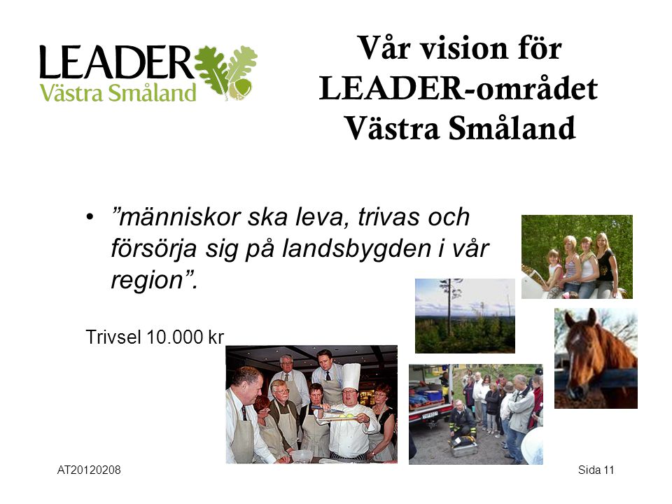 Vår vision för LEADER-området Västra Småland