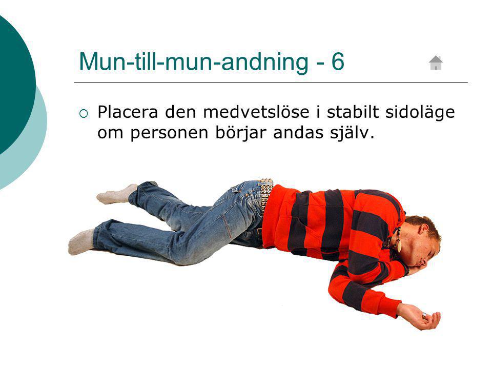 Mun-till-mun-andning - 6