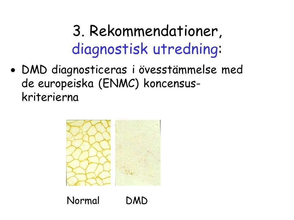 3. Rekommendationer, diagnostisk utredning: