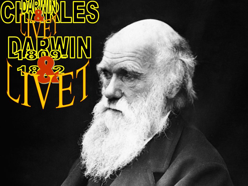 CHARLES DARWIN CHARLES DARWIN & LIVET & LIVET