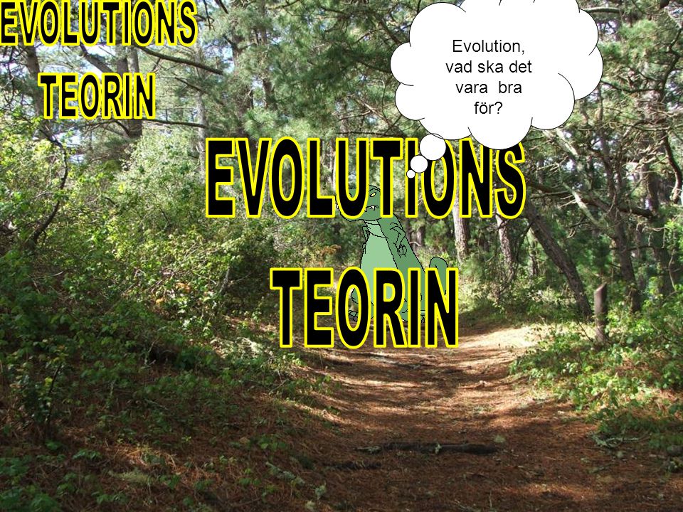 EVOLUTIONS TEORIN EVOLUTIONS TEORIN Evolution, vad ska det vara bra