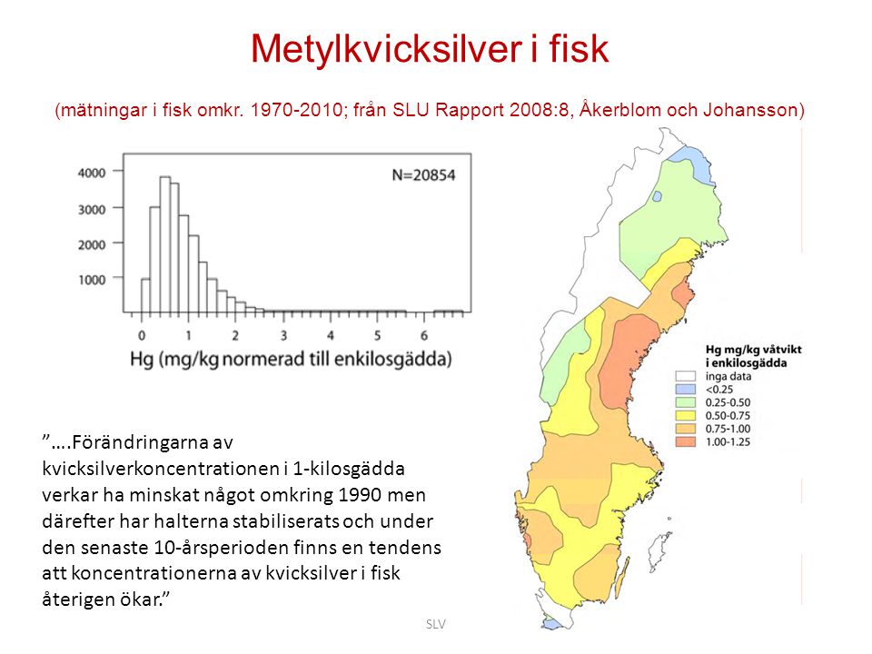 Metylkvicksilver i fisk (mätningar i fisk omkr