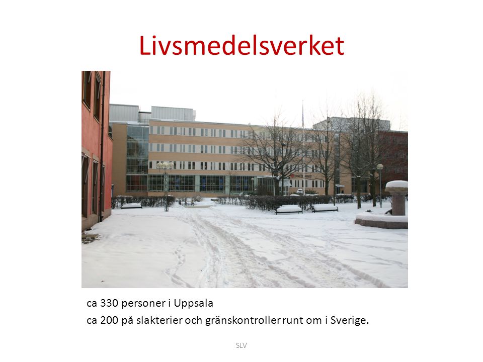 Livsmedelsverket ca 330 personer i Uppsala
