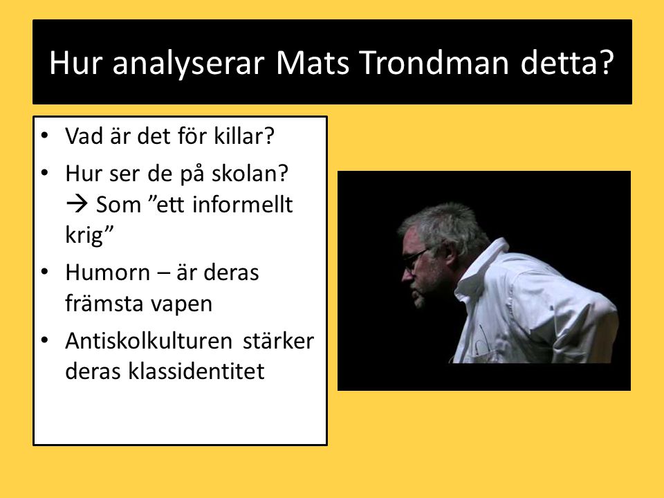 Hur analyserar Mats Trondman detta