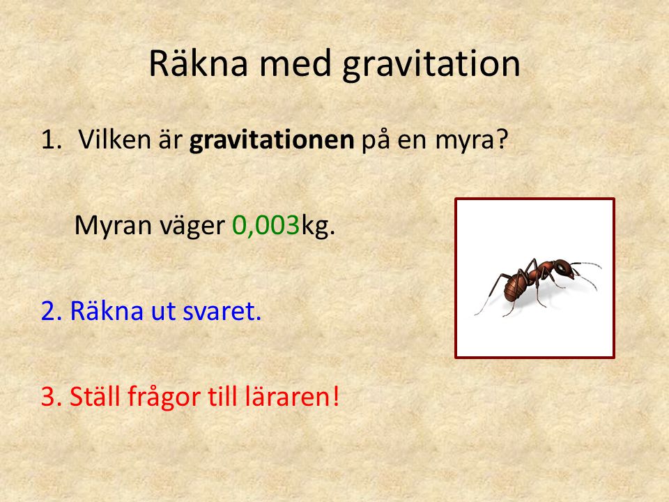 Räkna med gravitation Vilken är gravitationen på en myra