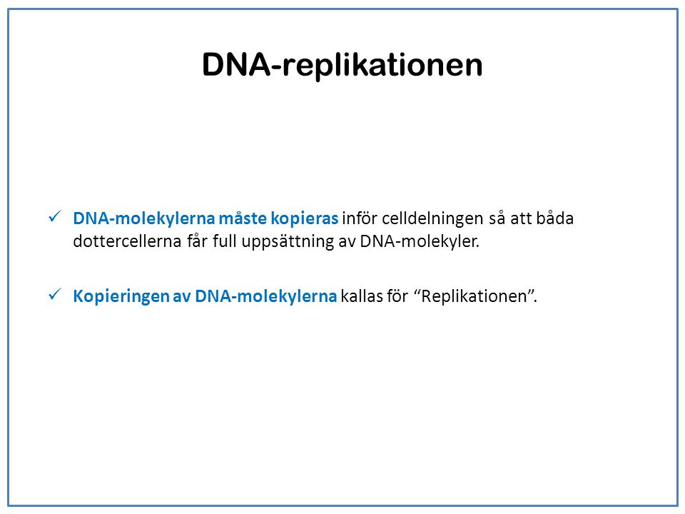 DNA-replikationen DNA-molekylerna måste kopieras inför celldelningen så att båda dottercellerna får full uppsättning av DNA-molekyler.