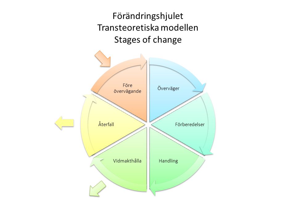 Förändringshjulet Transteoretiska modellen Stages of change