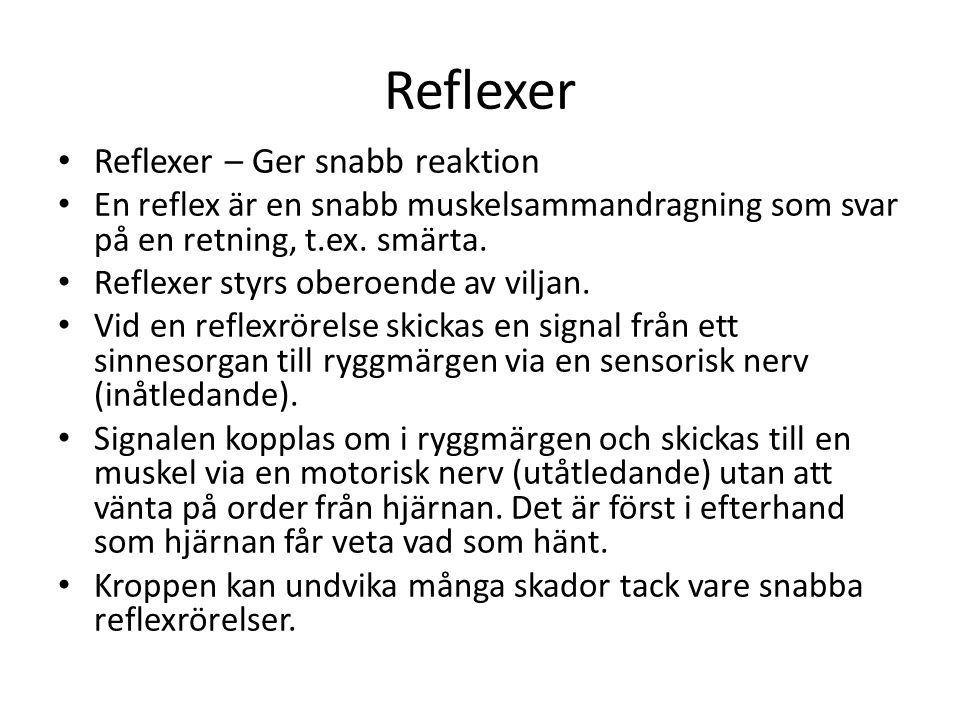 Reflexer Reflexer – Ger snabb reaktion