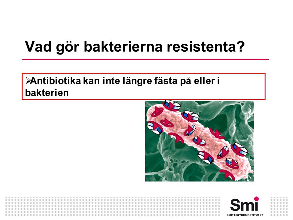 Vad gör bakterierna resistenta