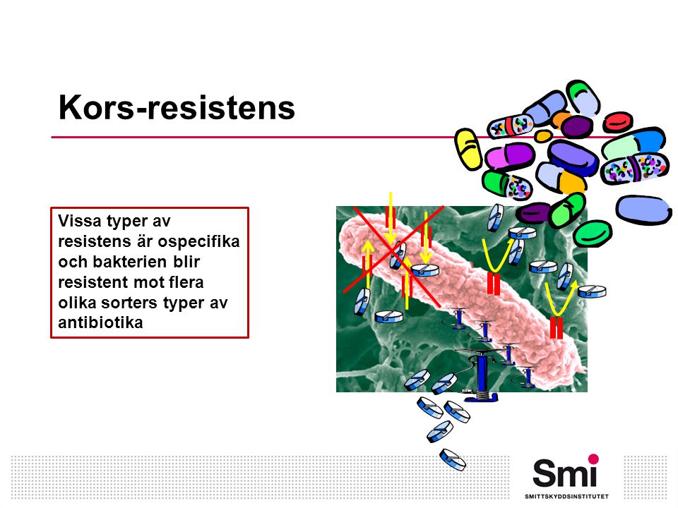 Kors-resistens Vissa typer av resistens är ospecifika och bakterien blir resistent mot flera olika sorters typer av antibiotika.