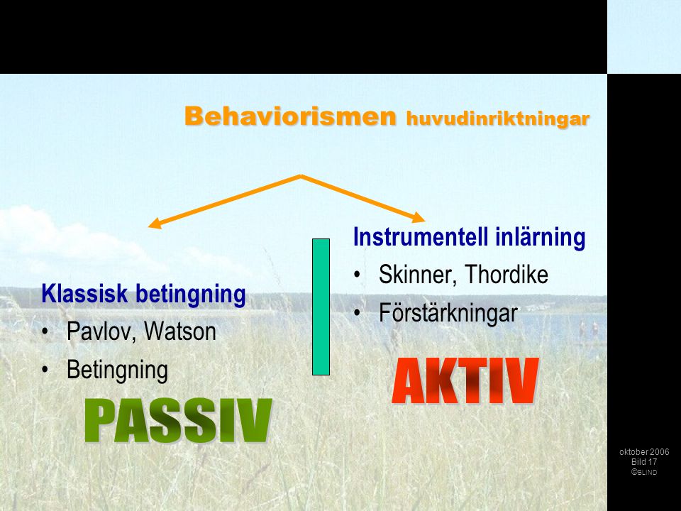 AKTIV PASSIV Behaviorismen huvudinriktningar Instrumentell inlärning