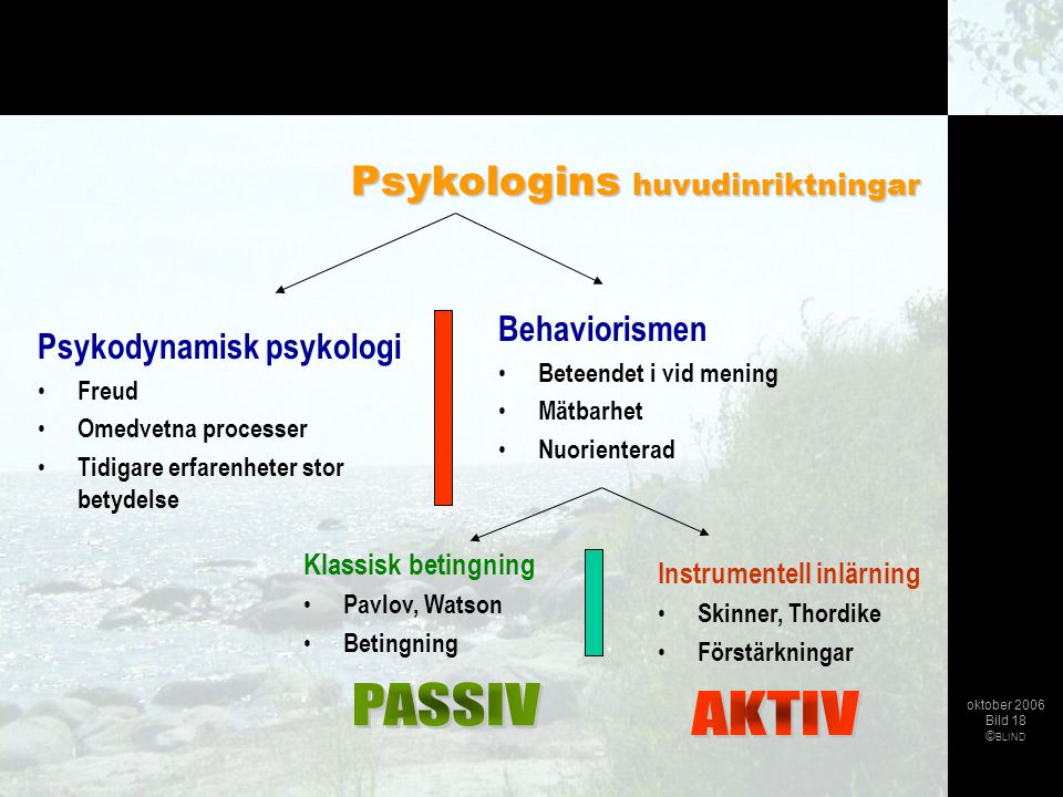 PASSIV AKTIV Psykologins huvudinriktningar Behaviorismen