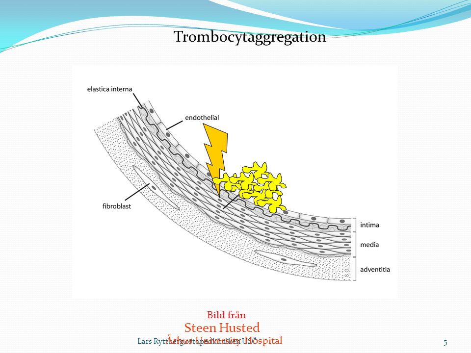 Trombocytaggregation