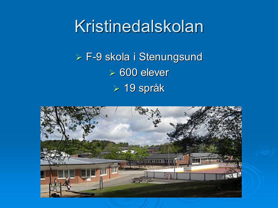 Kristinedalskolan F-9 skola i Stenungsund 600 elever 19 språk