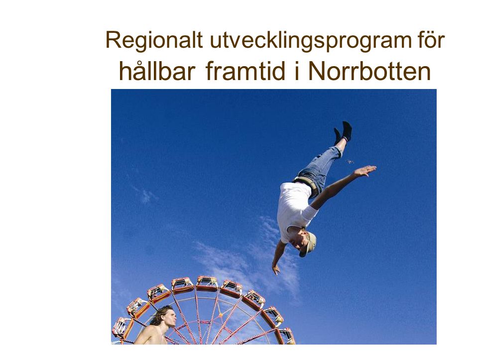 Regionalt utvecklingsprogram för hållbar framtid i Norrbotten