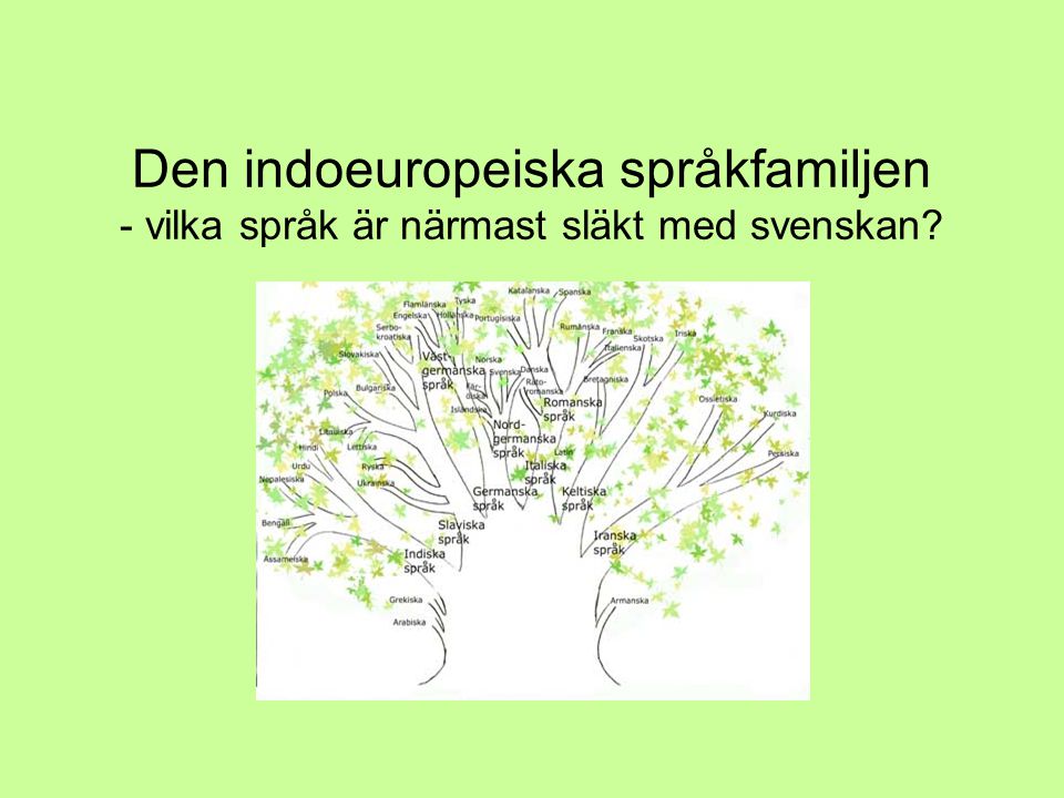 Den indoeuropeiska språkfamiljen - vilka språk är närmast släkt med svenskan