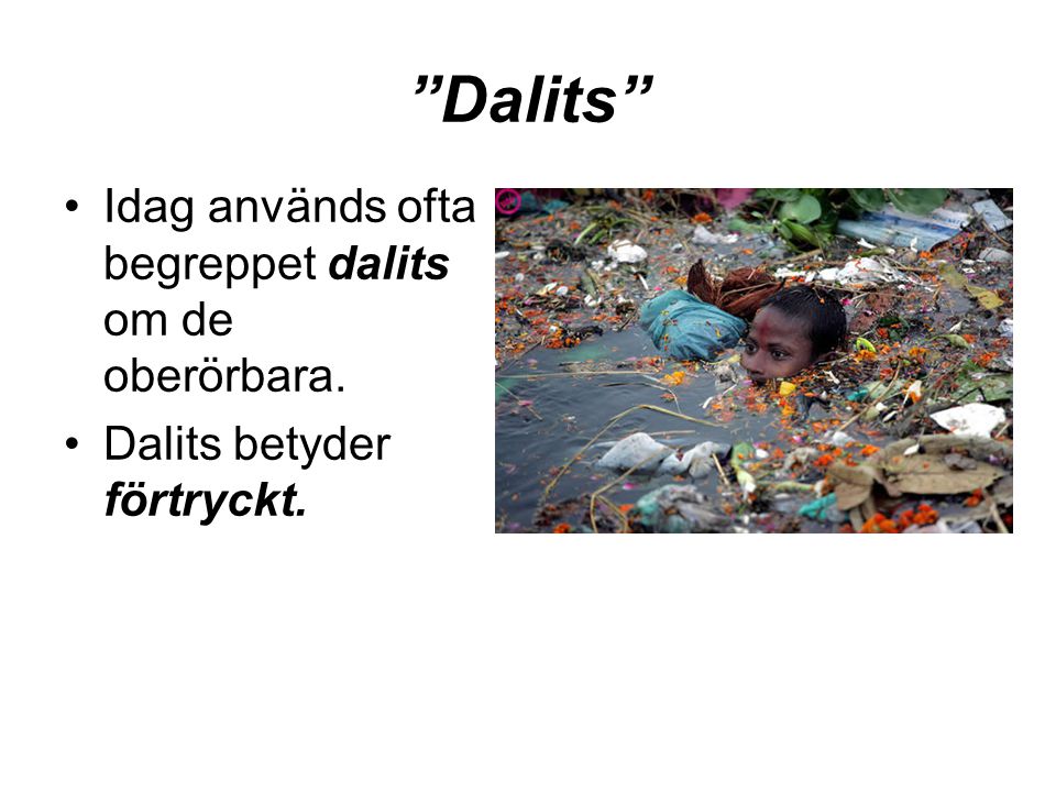 Dalits Idag används ofta begreppet dalits om de oberörbara.