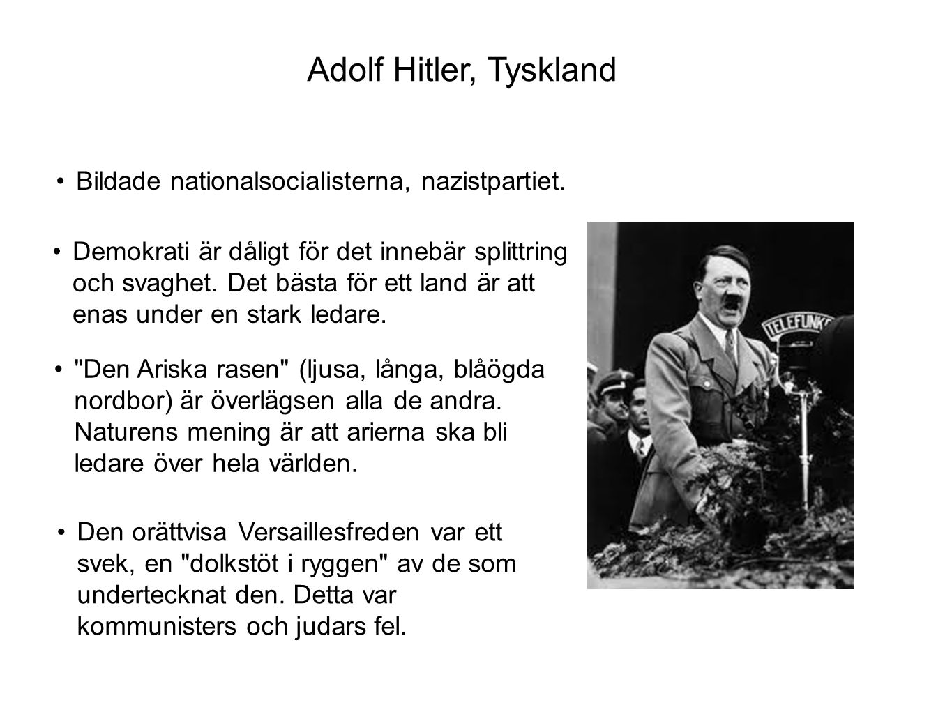 Adolf Hitler, Tyskland Bildade nationalsocialisterna, nazistpartiet.