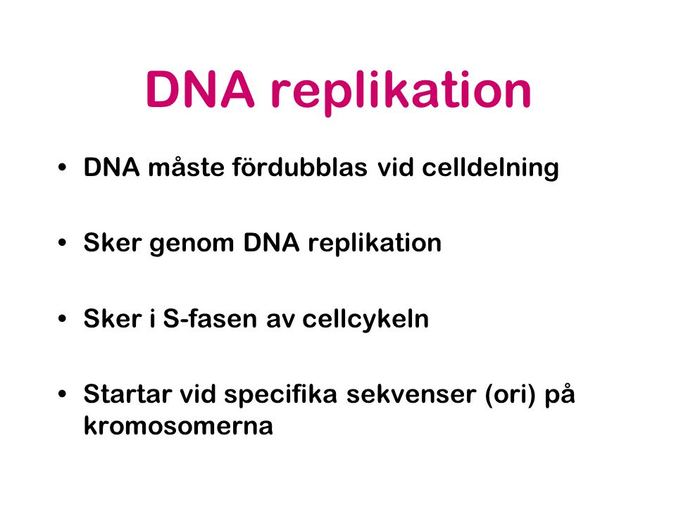 DNA replikation DNA måste fördubblas vid celldelning