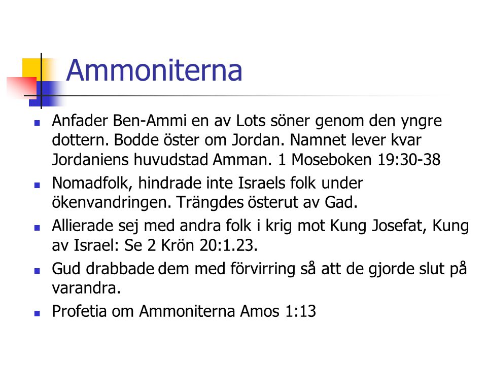 Ammoniterna