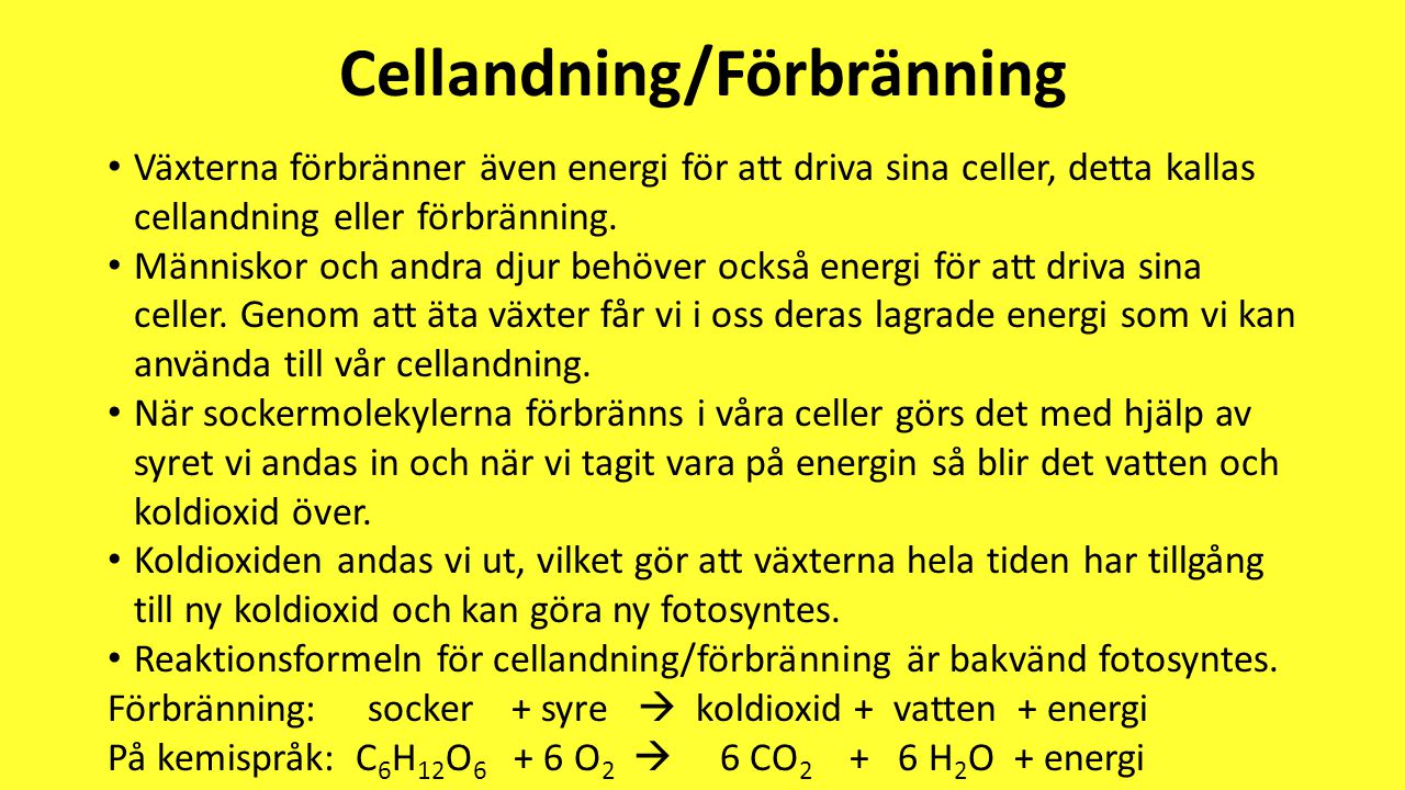 Cellandning/Förbränning
