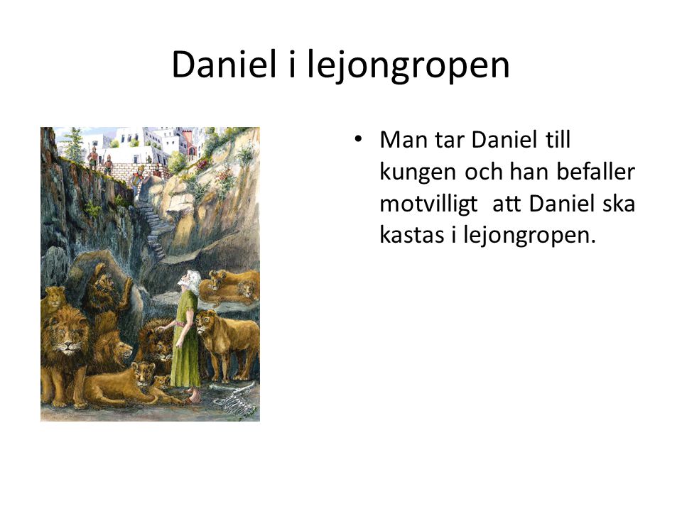Daniel i lejongropen Man tar Daniel till kungen och han befaller motvilligt att Daniel ska kastas i lejongropen.