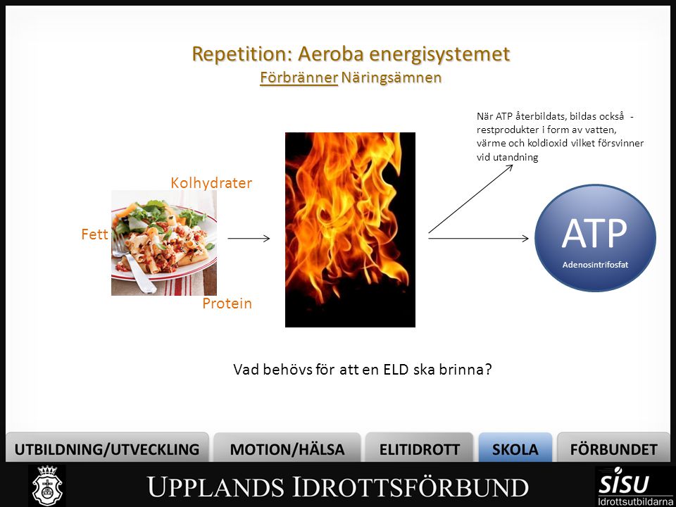 Repetition: Aeroba energisystemet Förbränner Näringsämnen