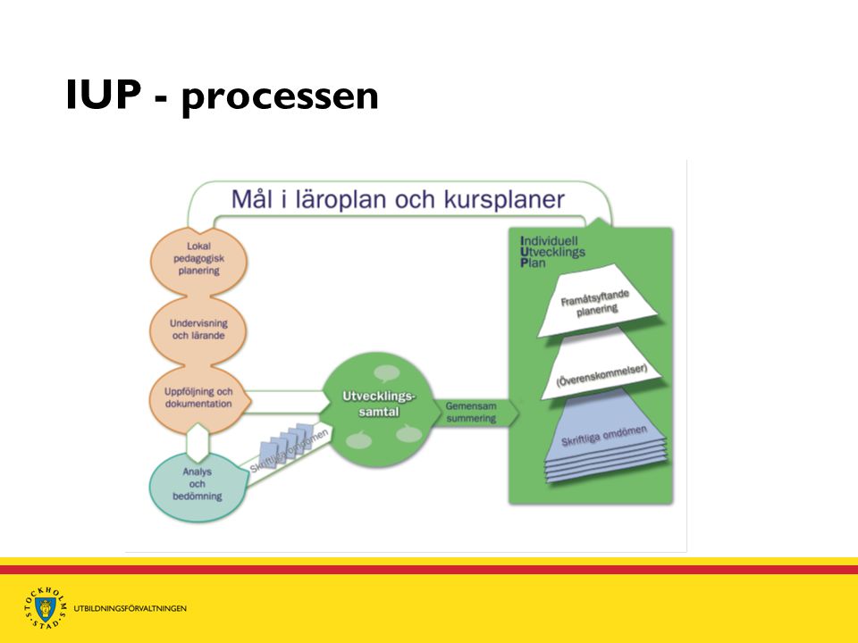 IUP - processen