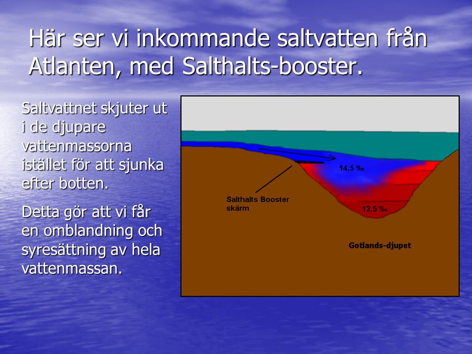 Här ser vi inkommande saltvatten från Atlanten, med Salthalts-booster.