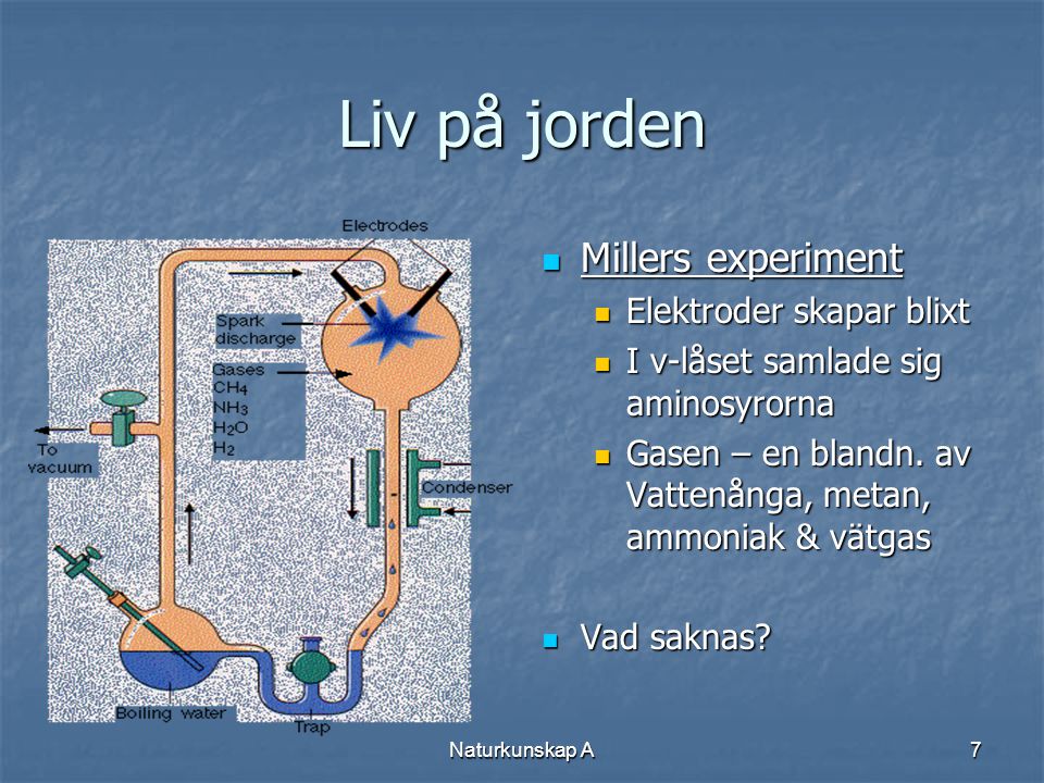 Liv på jorden Millers experiment Elektroder skapar blixt